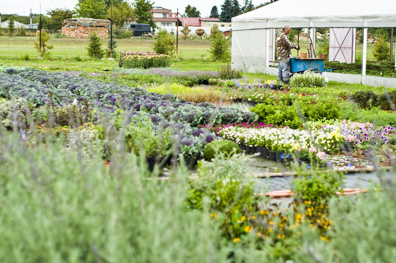 To one poprawiają komfort życia zdjęcie nr 112781