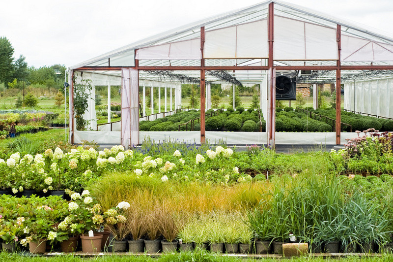 To one poprawiają komfort życia zdjęcie nr 112786