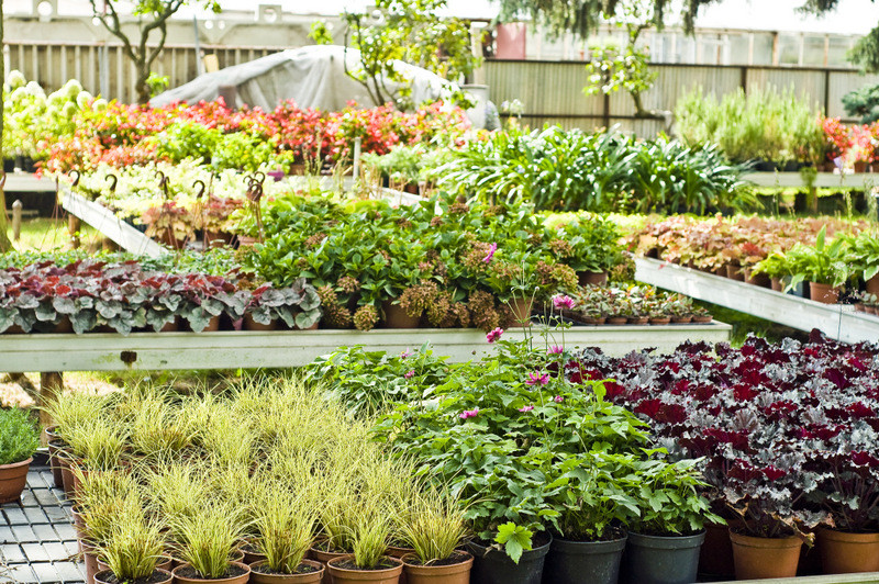 To one poprawiają komfort życia zdjęcie nr 112804