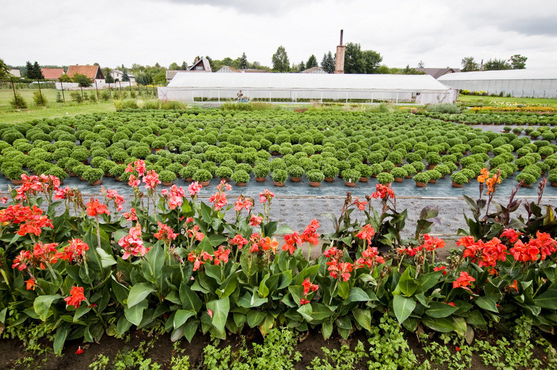 To one poprawiają komfort życia zdjęcie nr 112777