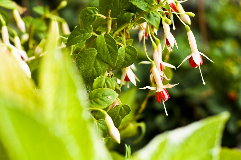 To one poprawiają komfort życia zdjęcie nr 112800