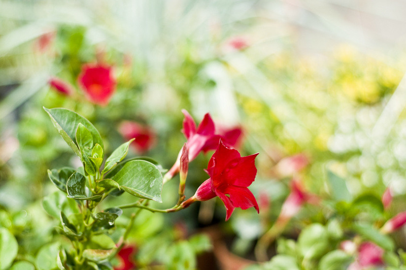 To one poprawiają komfort życia zdjęcie nr 112799