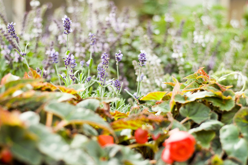 To one poprawiają komfort życia zdjęcie nr 112797