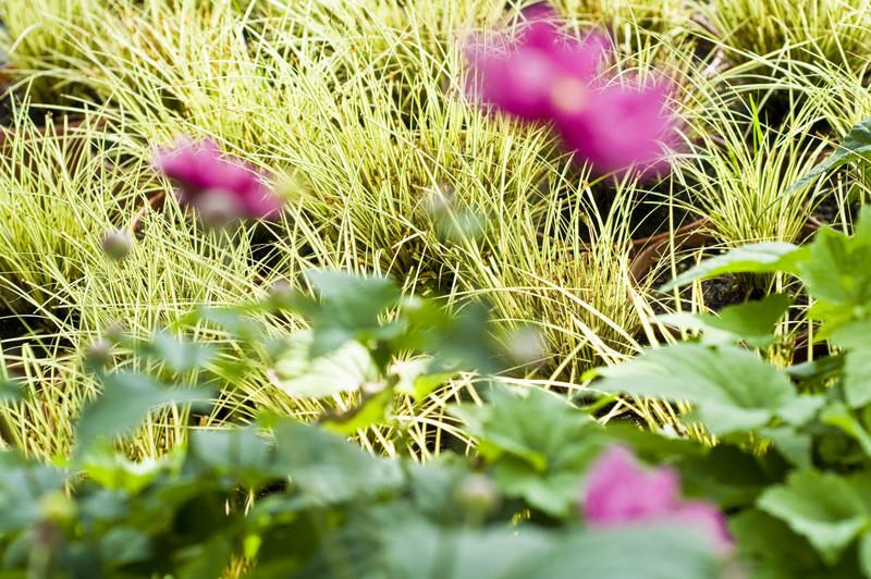 To one poprawiają komfort życia zdjęcie nr 112805