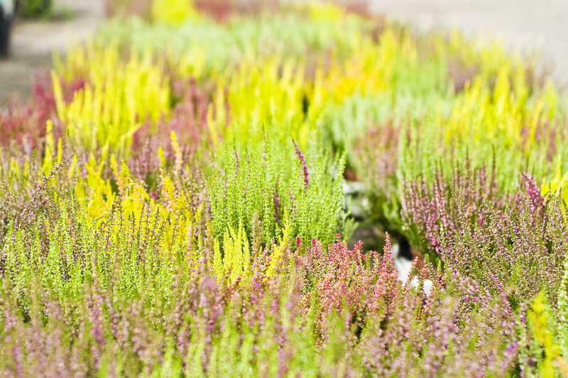 To one poprawiają komfort życia zdjęcie nr 112792