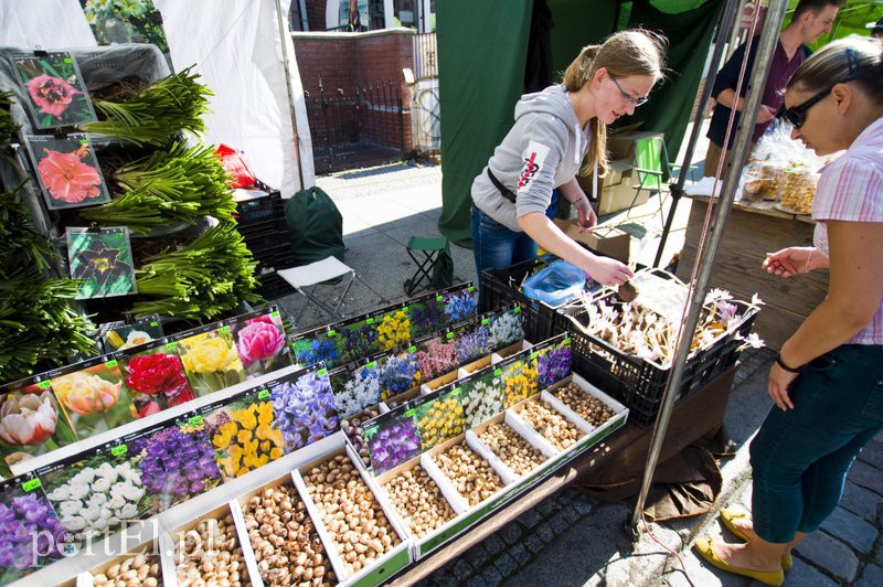 Święto chlebem pachnące zdjęcie nr 113037