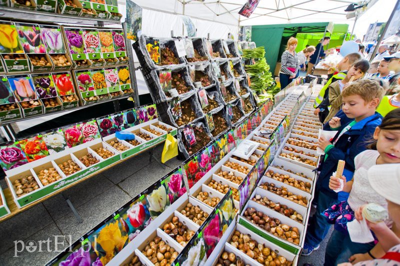 Święto chlebem pachnące zdjęcie nr 113036