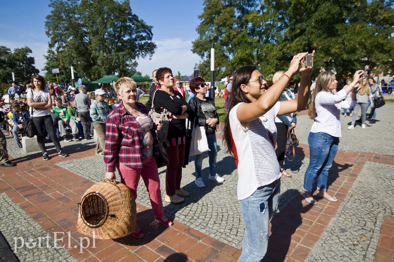 Święto chlebem pachnące zdjęcie nr 113014