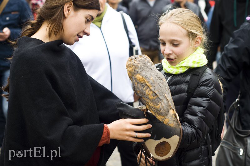  Jest smacznie! zdjęcie nr 113249