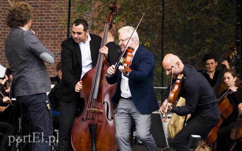 Charyzma i energia na scenie zdjęcie nr 113276