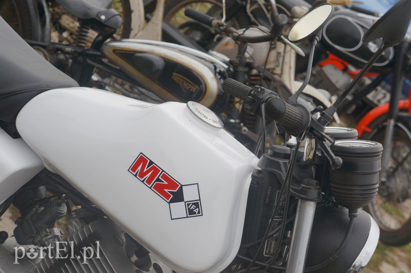 Stare, ale z młodą duszą zdjęcie nr 113375