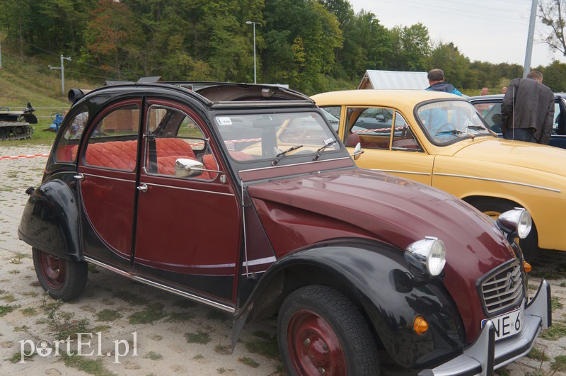 Stare, ale z młodą duszą zdjęcie nr 113361