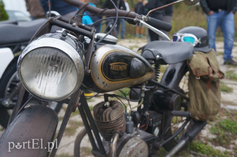 Stare, ale z młodą duszą zdjęcie nr 113371