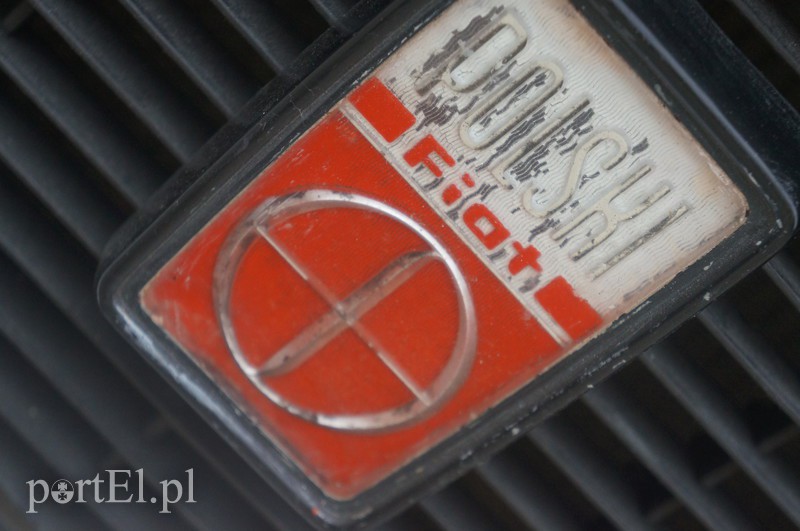 Stare, ale z młodą duszą zdjęcie nr 113429