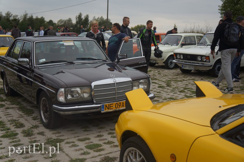 Elbląg Stare, ale z młodą duszą