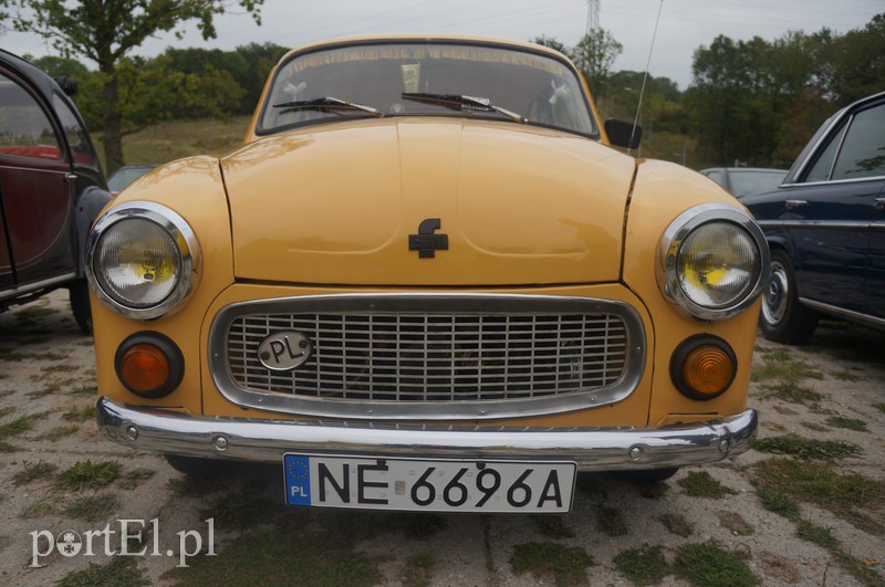 Stare, ale z młodą duszą zdjęcie nr 113451