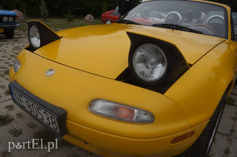 Stare, ale z młodą duszą zdjęcie nr 113453