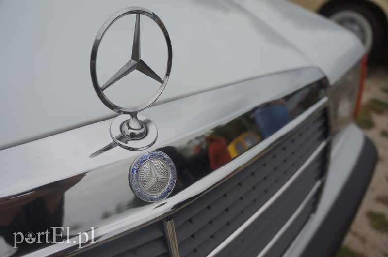 Stare, ale z młodą duszą zdjęcie nr 113428