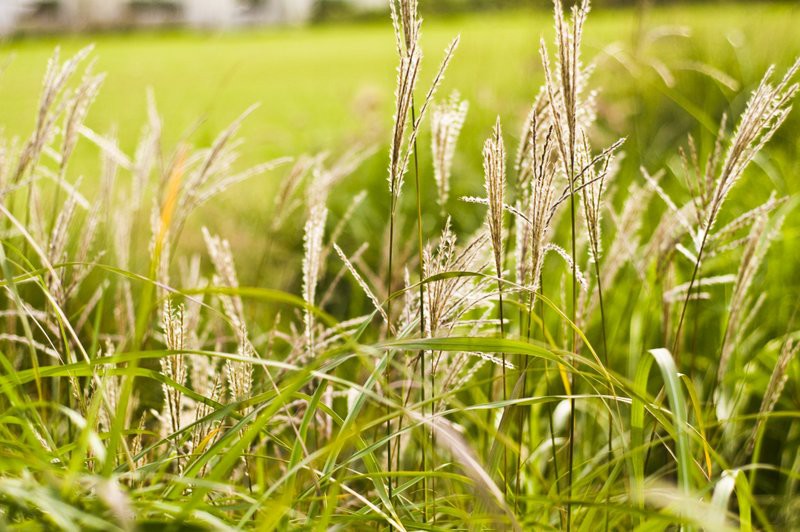 Dbajmy o nie przez cały rok zdjęcie nr 113568