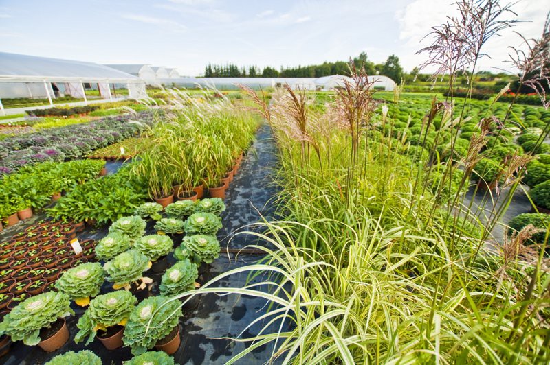 Dbajmy o nie przez cały rok zdjęcie nr 113561