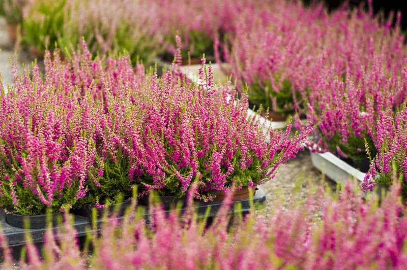 Dbajmy o nie przez cały rok zdjęcie nr 113569