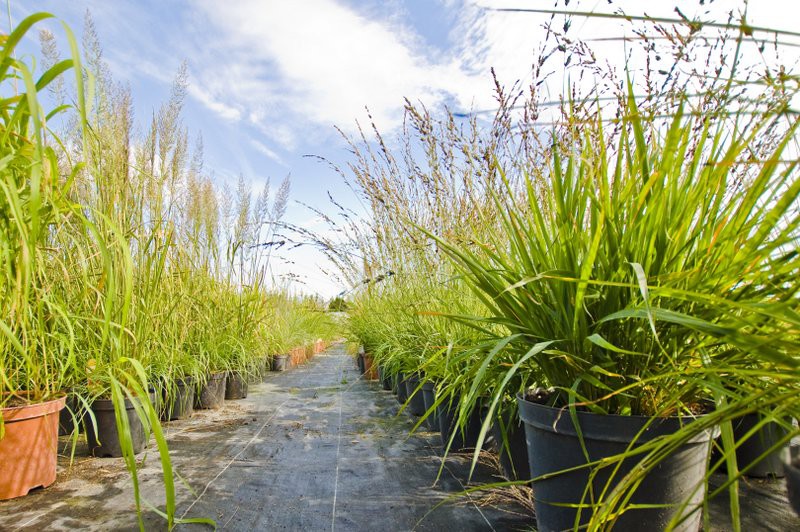 Dbajmy o nie przez cały rok zdjęcie nr 113562