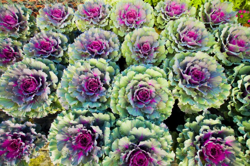 Dbajmy o nie przez cały rok zdjęcie nr 113559