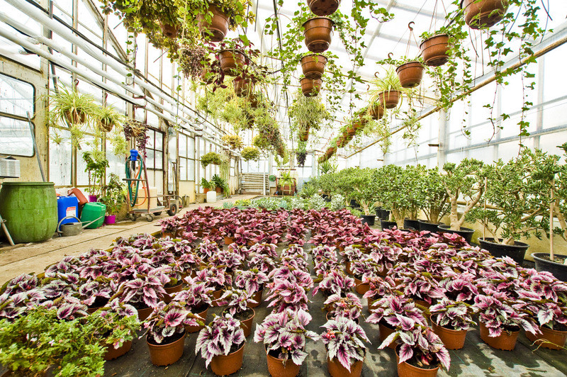 Dbajmy o nie przez cały rok zdjęcie nr 113582