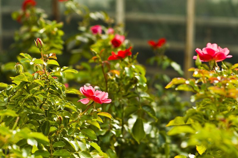 Dbajmy o nie przez cały rok zdjęcie nr 113573