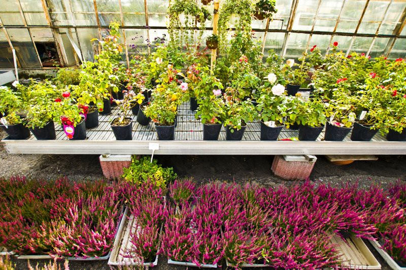 Dbajmy o nie przez cały rok zdjęcie nr 113576