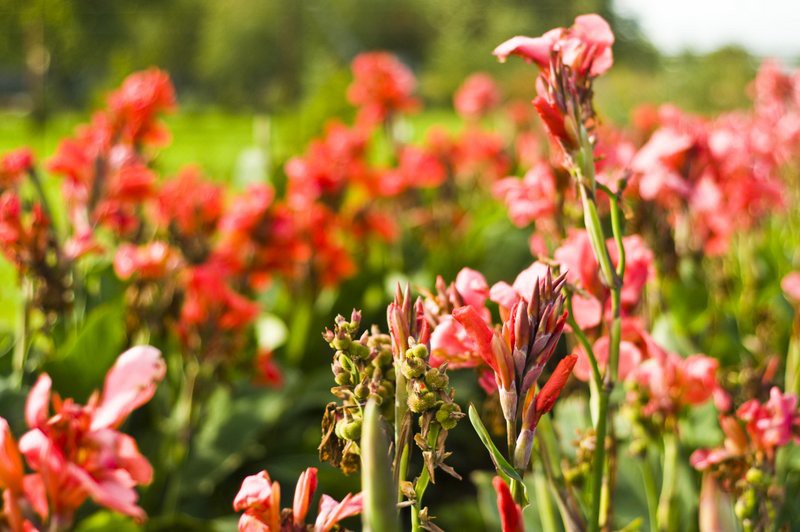 Dbajmy o nie przez cały rok zdjęcie nr 113564