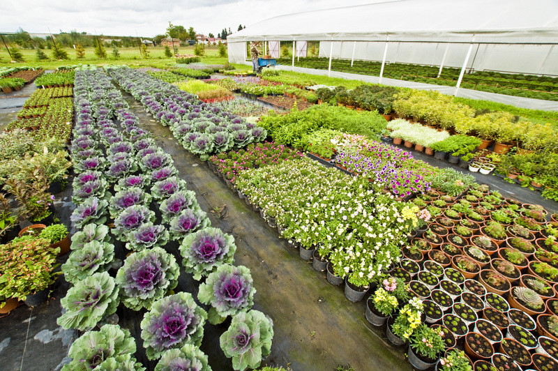 Dbajmy o nie przez cały rok zdjęcie nr 113578