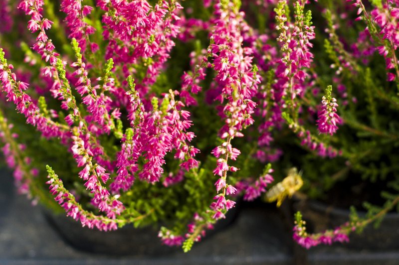 Dbajmy o nie przez cały rok zdjęcie nr 113575