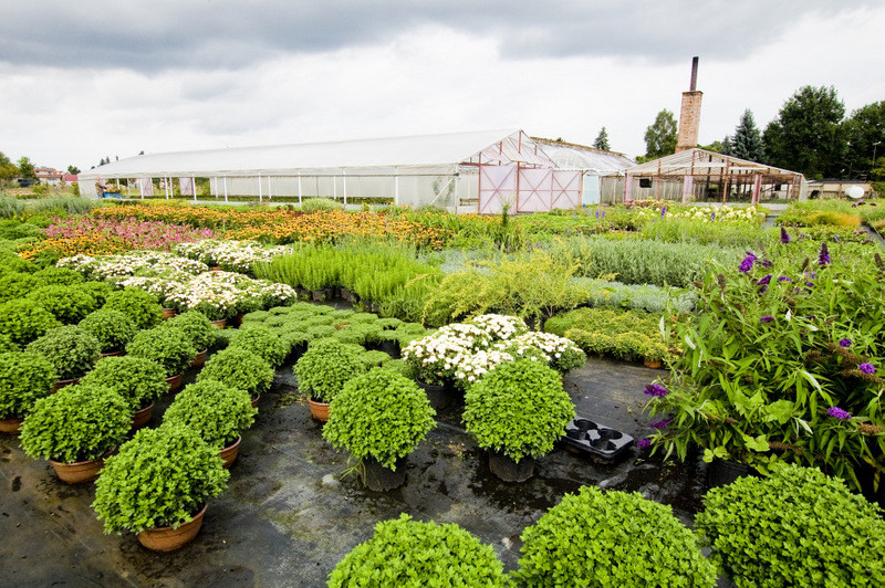 Dbajmy o nie przez cały rok zdjęcie nr 113577