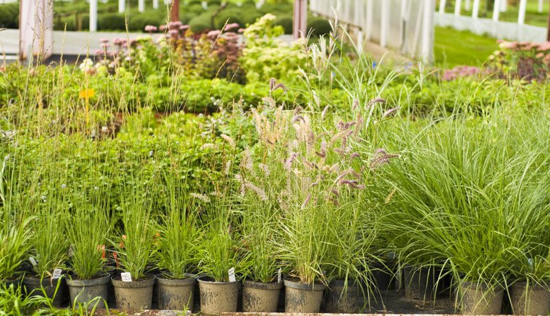 Dbajmy o nie przez cały rok zdjęcie nr 113566