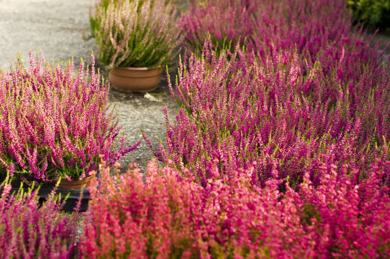 Dbajmy o nie przez cały rok zdjęcie nr 113571