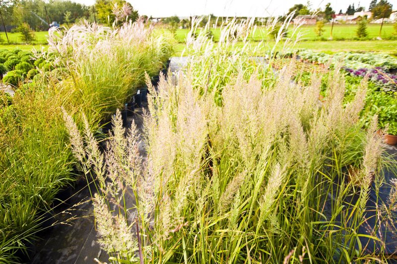 Dbajmy o nie przez cały rok zdjęcie nr 113563