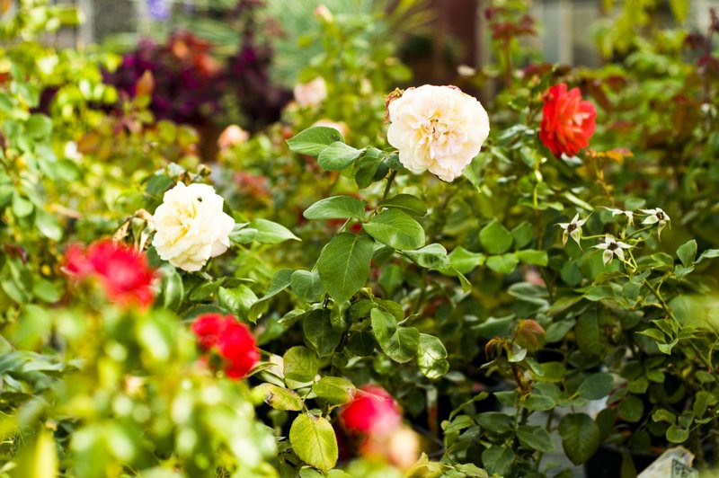 Dbajmy o nie przez cały rok zdjęcie nr 113574