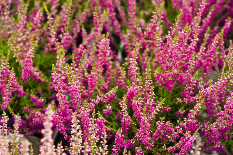 Dbajmy o nie przez cały rok zdjęcie nr 113570