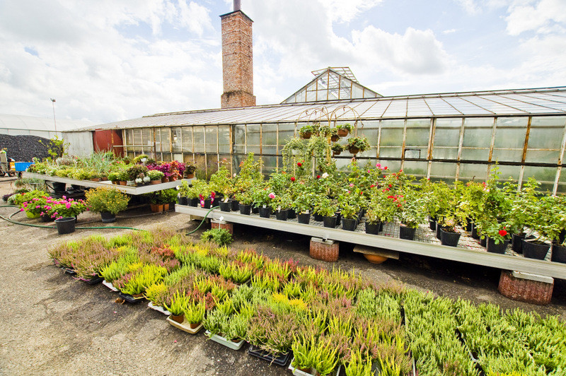 Dbajmy o nie przez cały rok zdjęcie nr 113581