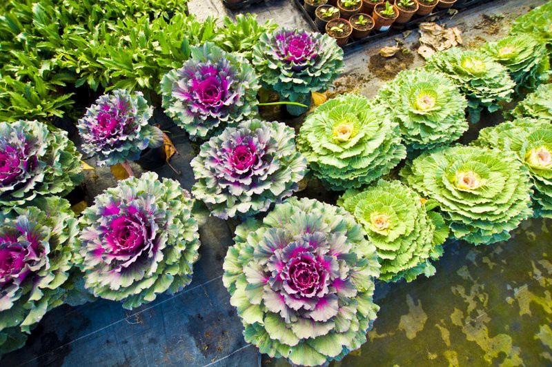 Dbajmy o nie przez cały rok zdjęcie nr 113560