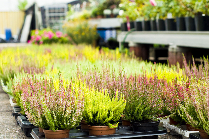 Dbajmy o nie przez cały rok zdjęcie nr 113580