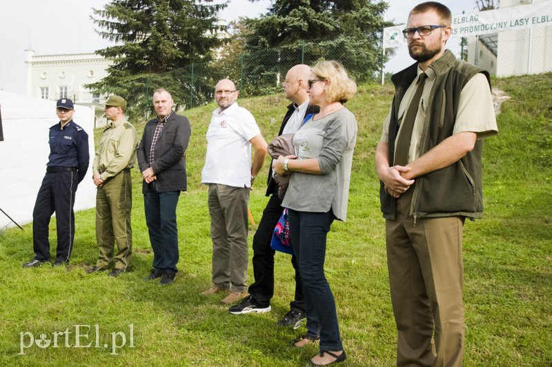 Uczniowie w mundurach biegali w Bażantarni zdjęcie nr 113592
