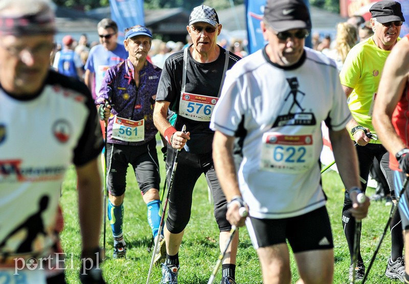 650 osób powędrowało z kijkami przez Bażantarnię zdjęcie nr 113763