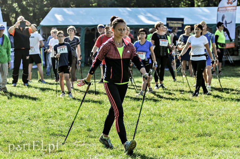 650 osób powędrowało z kijkami przez Bażantarnię zdjęcie nr 113739