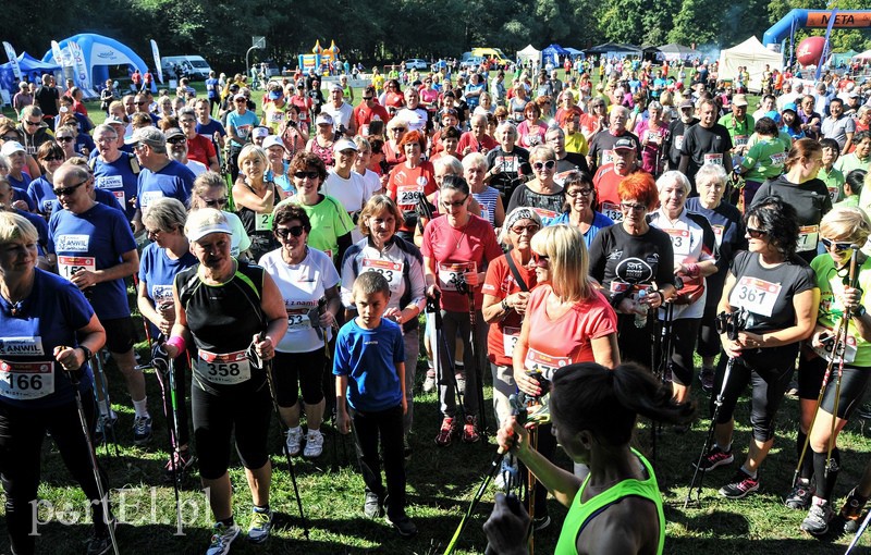 650 osób powędrowało z kijkami przez Bażantarnię zdjęcie nr 113752