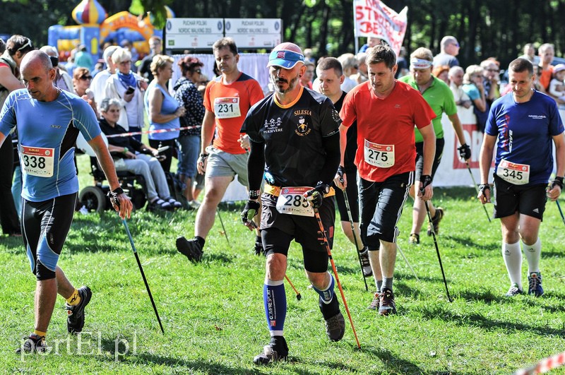 650 osób powędrowało z kijkami przez Bażantarnię zdjęcie nr 113770