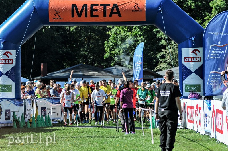 650 osób powędrowało z kijkami przez Bażantarnię zdjęcie nr 113759