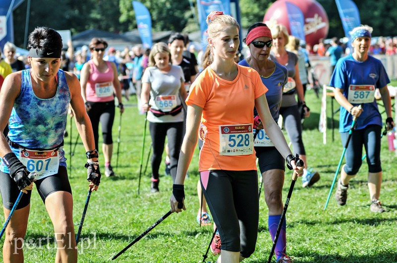 650 osób powędrowało z kijkami przez Bażantarnię zdjęcie nr 113765