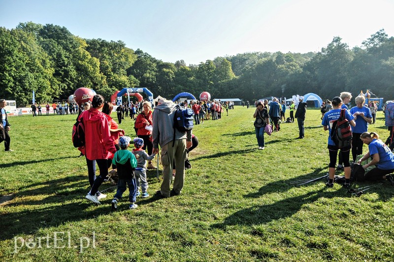 Elbląg 650 osób powędrowało z kijkami przez Bażantarnię